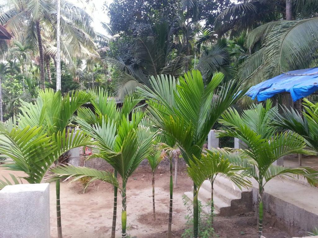 Tendulkar Beach Resort Diveagar Ngoại thất bức ảnh