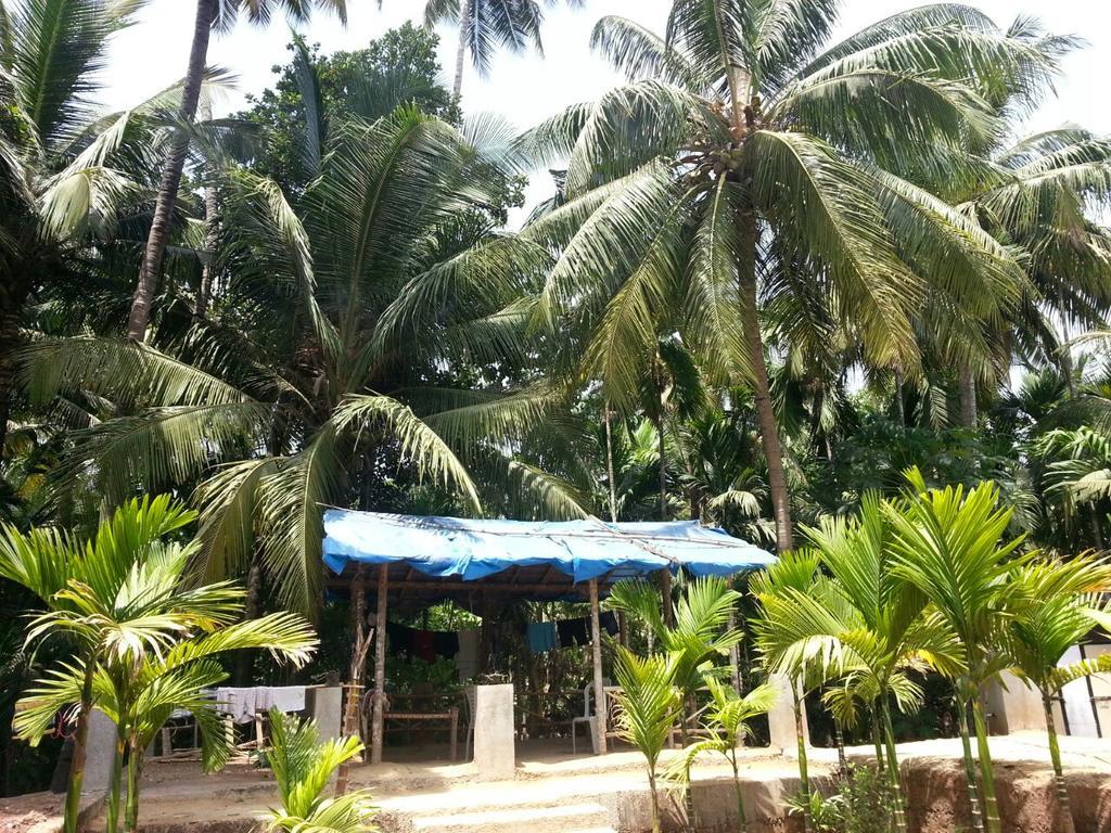 Tendulkar Beach Resort Diveagar Ngoại thất bức ảnh